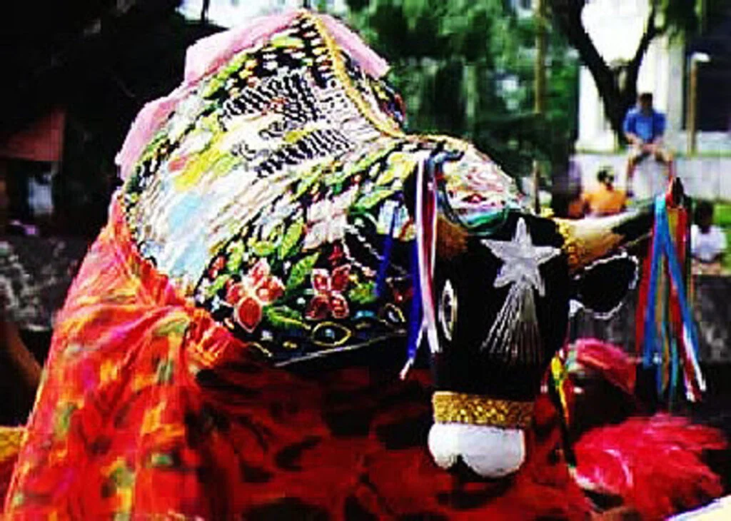 Festejo de São Marçal: cultura e tradição em São Luís